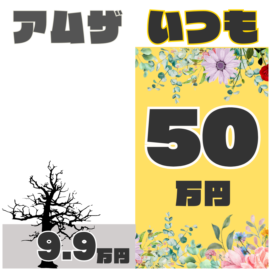 いつもは50万円、アムザは9.9万円という審査結果でした